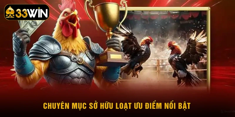 Chuyên mục sở hữu loạt ưu điểm nổi bật